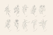 Cosmetic herbs, a Decorative Illustration by Merfin (Thumbnail 4 of 6)