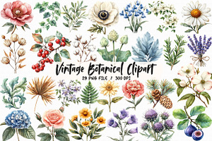 Vintage Botanical Clipart, an Illustration by Libby Wishes