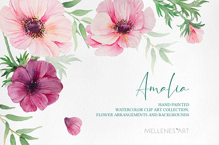 Watercolor anemone Clipart bundle