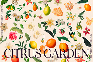 Citrus Garden Floral Set & Poster