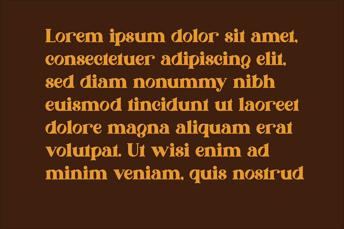 Jafira, a Sans Serif Font by Design House (Photo 3 of 3)