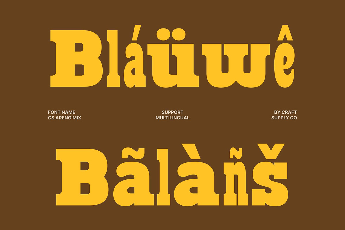 CS Areno Mix, a Slab Serif Font by Craft Supply Co. (Photo 6 of 8)