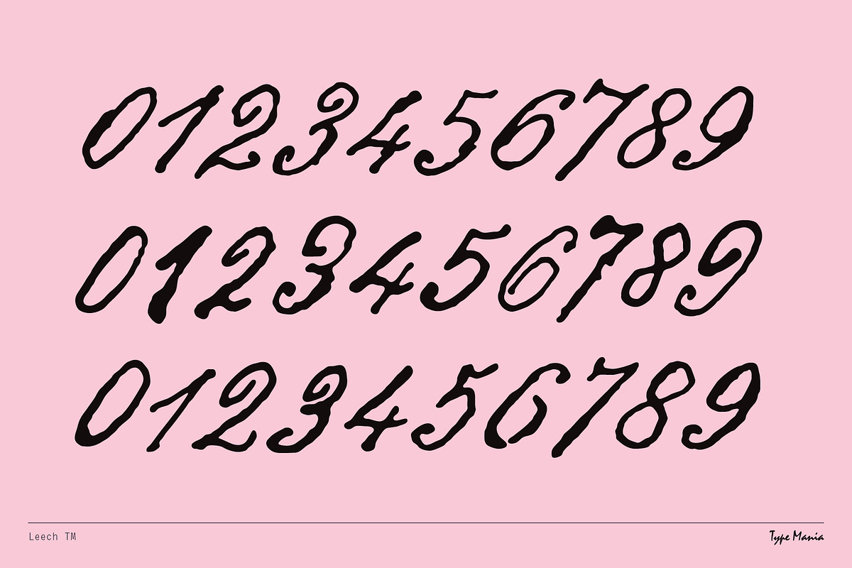 Leech TM – Romantic Script, a Script Font by Type Mania (Photo 9 of 10)