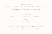 Semethone - Modern Calligraphy Font, a Script Font by Pen Culture (Thumbnail 8 of 9)
