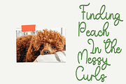 Sunday, a Handwritten Font by FreshTypeINK (Thumbnail 5 of 8)