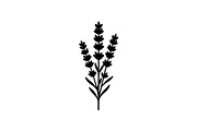 Lavender Botanical Silhouette Set, an Object Graphic by Designs_River (Thumbnail 3 of 3)