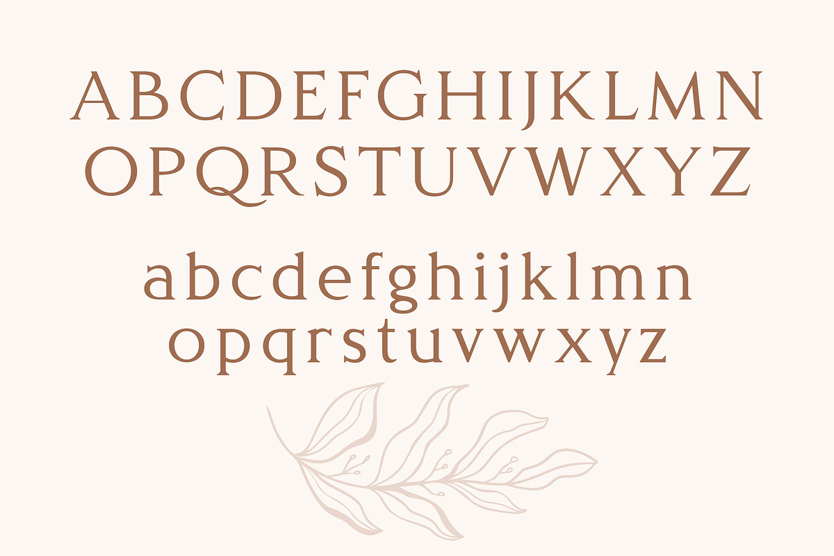 Delight - Luxury Serif Typeface, a Serif Font by HipFonts (Photo 3 of 9)