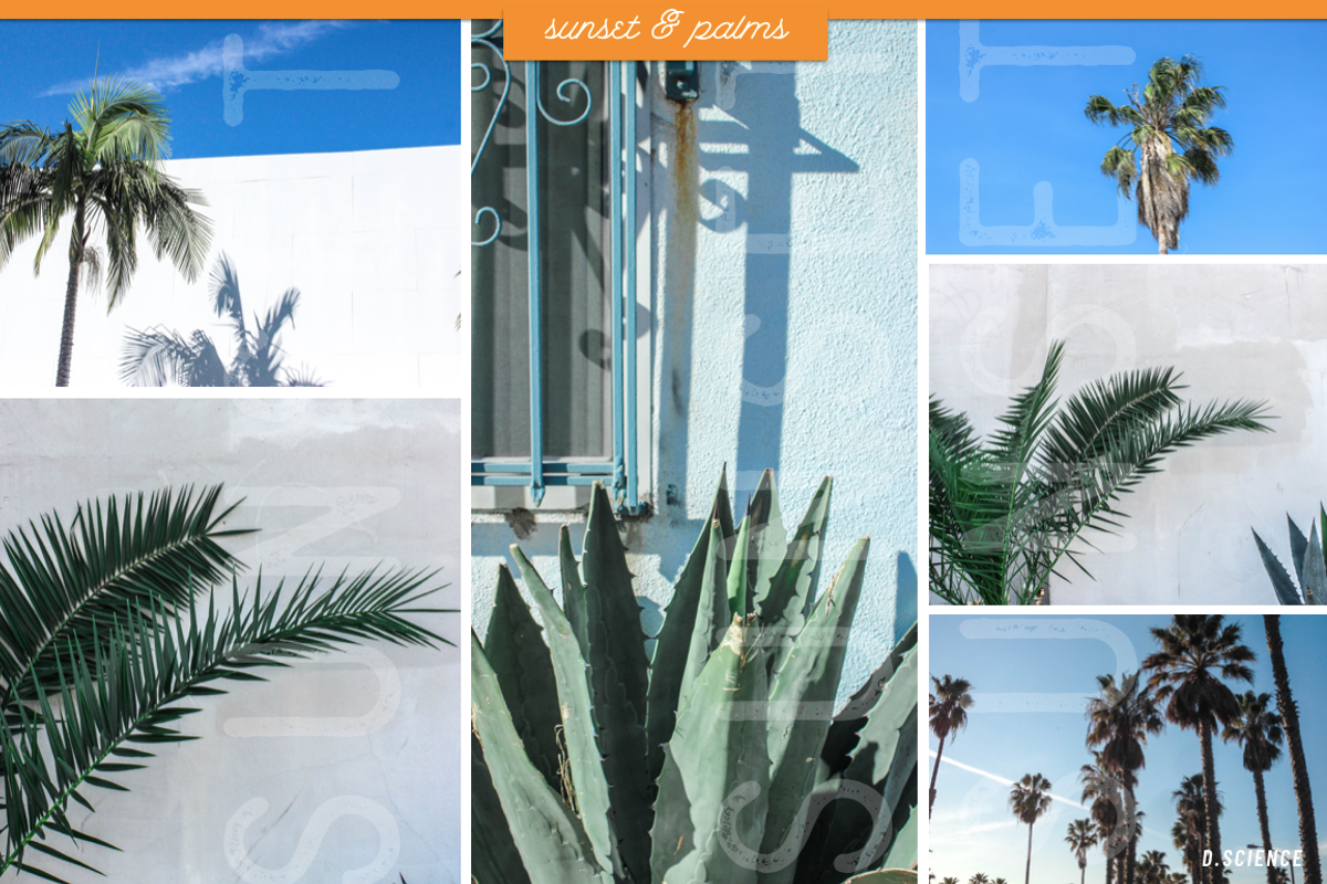 Sunset & Palm Trees Photo Bundle, a Nature Photo by Template Monkey @dscience (Photo 11 of 12)