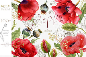 Red Poppies Watercolor Clipart