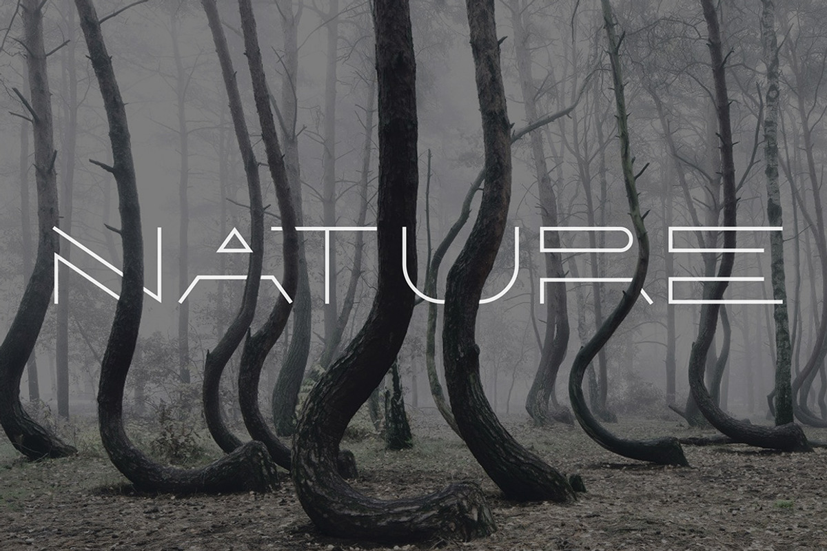 Forest Line Extended Linear Font preview 3