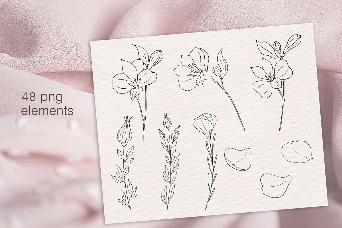 Peony procreate stamps, cliparts, a Brush Add-On by Veronika Gotovceva (Photo 4 of 8)