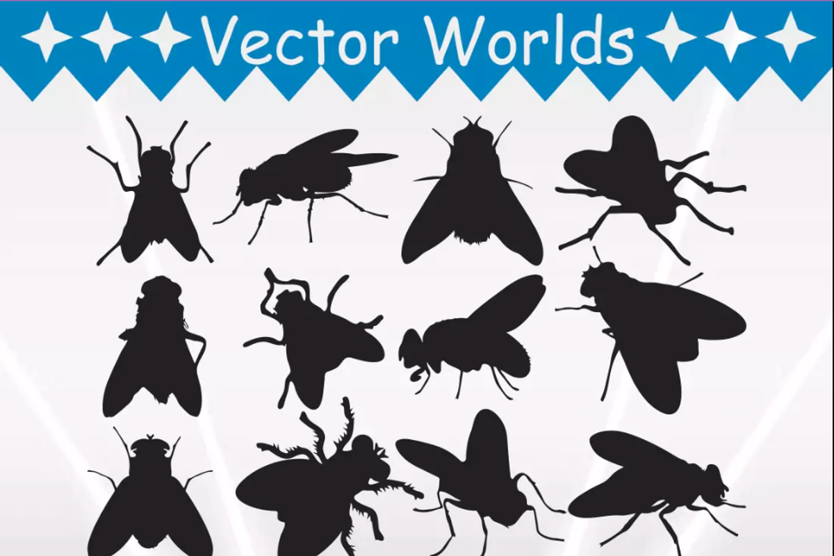 Flies Svg, Fly, Animal, Flying Svg, an Object Graphic by VectorWorlds (Photo 3 of 3)