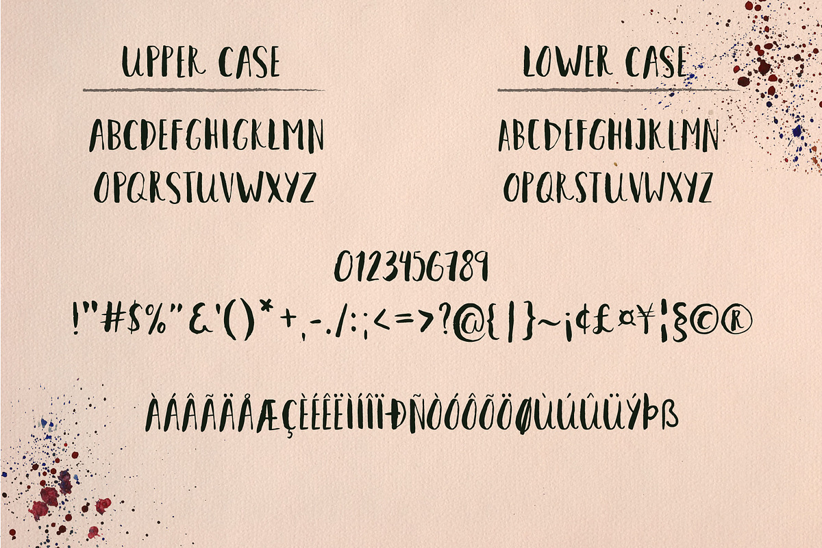 Carpe Diem - Brush Font, a Sans Serif Font by Anna Ivanir (Photo 7 of 8)