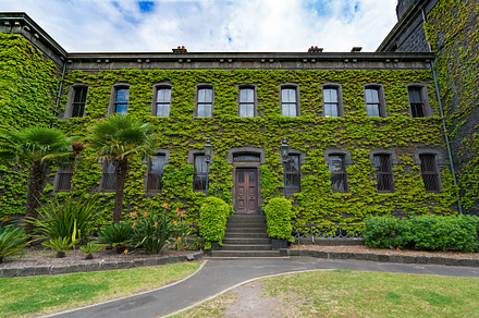 Green walls at Victoria Barracks