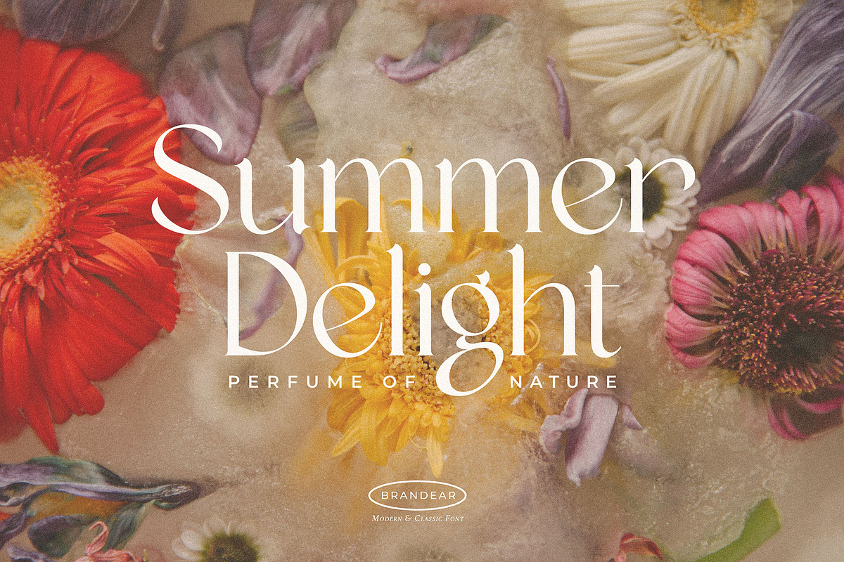 Quinek Elegant Serif, a Serif Font by Brandear Design (Photo 5 of 16)