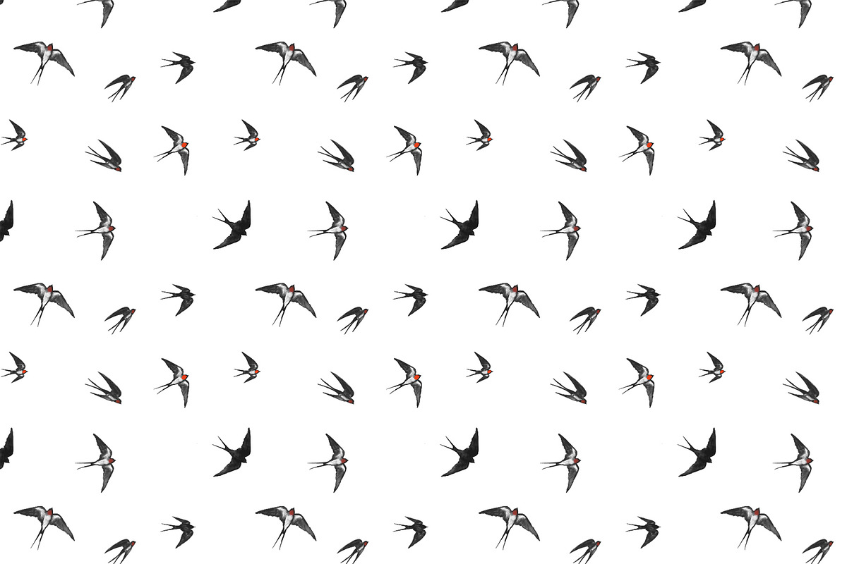 Japanese ink painting sumi-e. Birds., an Animal Illustration by Elina_Li (Photo 23 of 25)