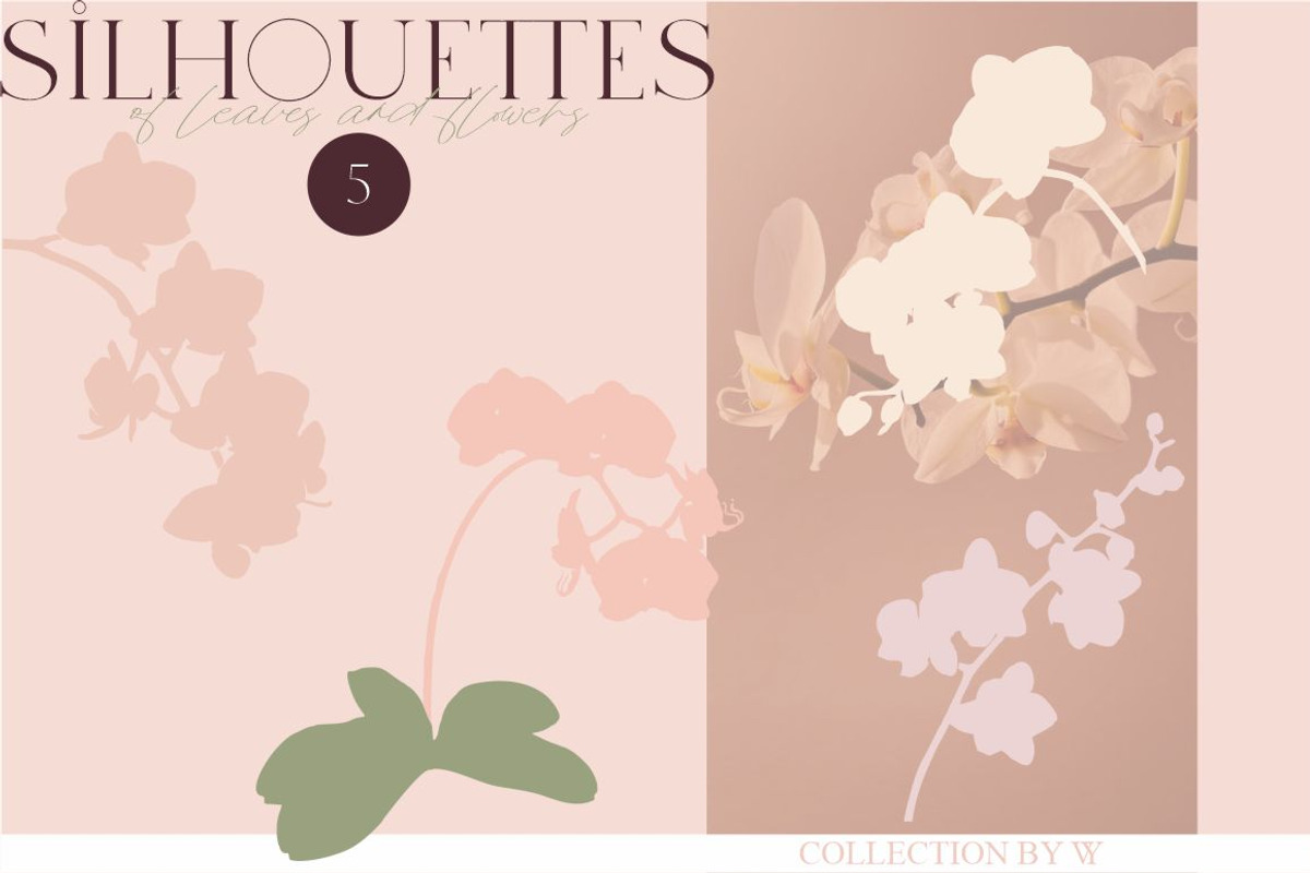 Bohemian Leaves & Orchids, a Decorative Illustration by Collection by VY (Photo 9 of 11)