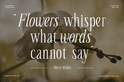 Seraline Orchid – A Graceful Modern, a Serif Font by roomspace creative lab (Thumbnail 7 of 10)