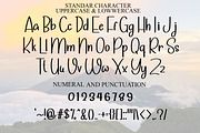 Stylish Signature, a Handwritten Font by FreshTypeINK (Thumbnail 6 of 8)