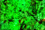Dark green abstract,Spirit dark art, an Abstract Photo by Manis recycle abstract (Thumbnail 1 of 3)