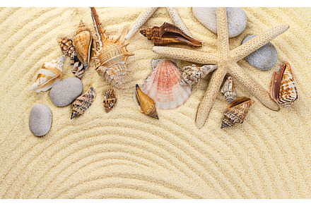Background with seashells on the, a Holiday Photo by yanadjana