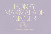 Stylish Aesthetic Typeface, a Sans Serif Font by Nicky Laatz (Thumbnail 2 of 29)