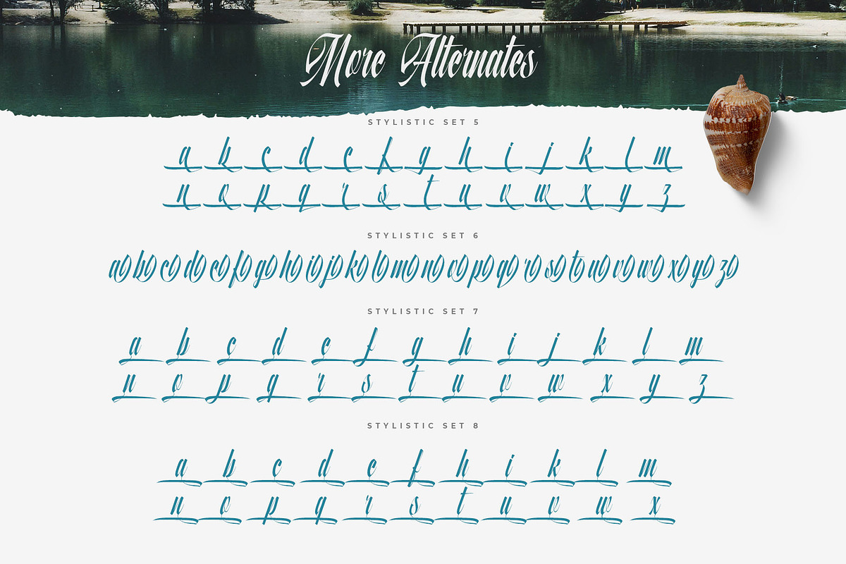 Quality Brazilian Font, a Script Font by alit design (Photo 14 of 20)