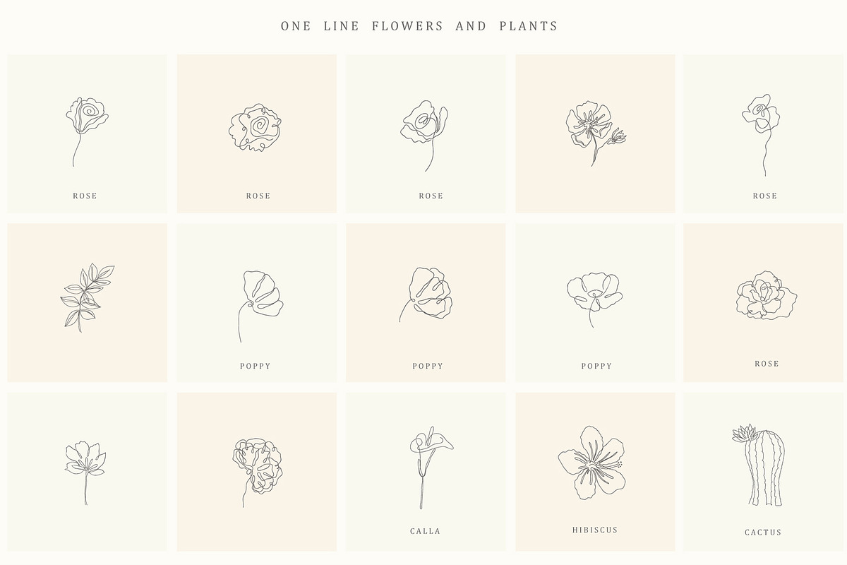 Botanical Hand Drawn Designs, Logos, a Seasonal Illustration by Designwork (Photo 11 of 22)