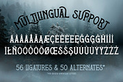 Nothern Woods Vintage Label Font, a Serif Font by JumboDesign (Thumbnail 6 of 6)