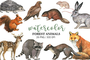 Watercolor Forest Animal Clipart PNG