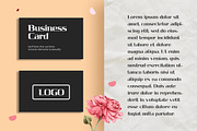 Dersira Elegant Serif Font, a Serif Font by UICreative (Thumbnail 2 of 5)