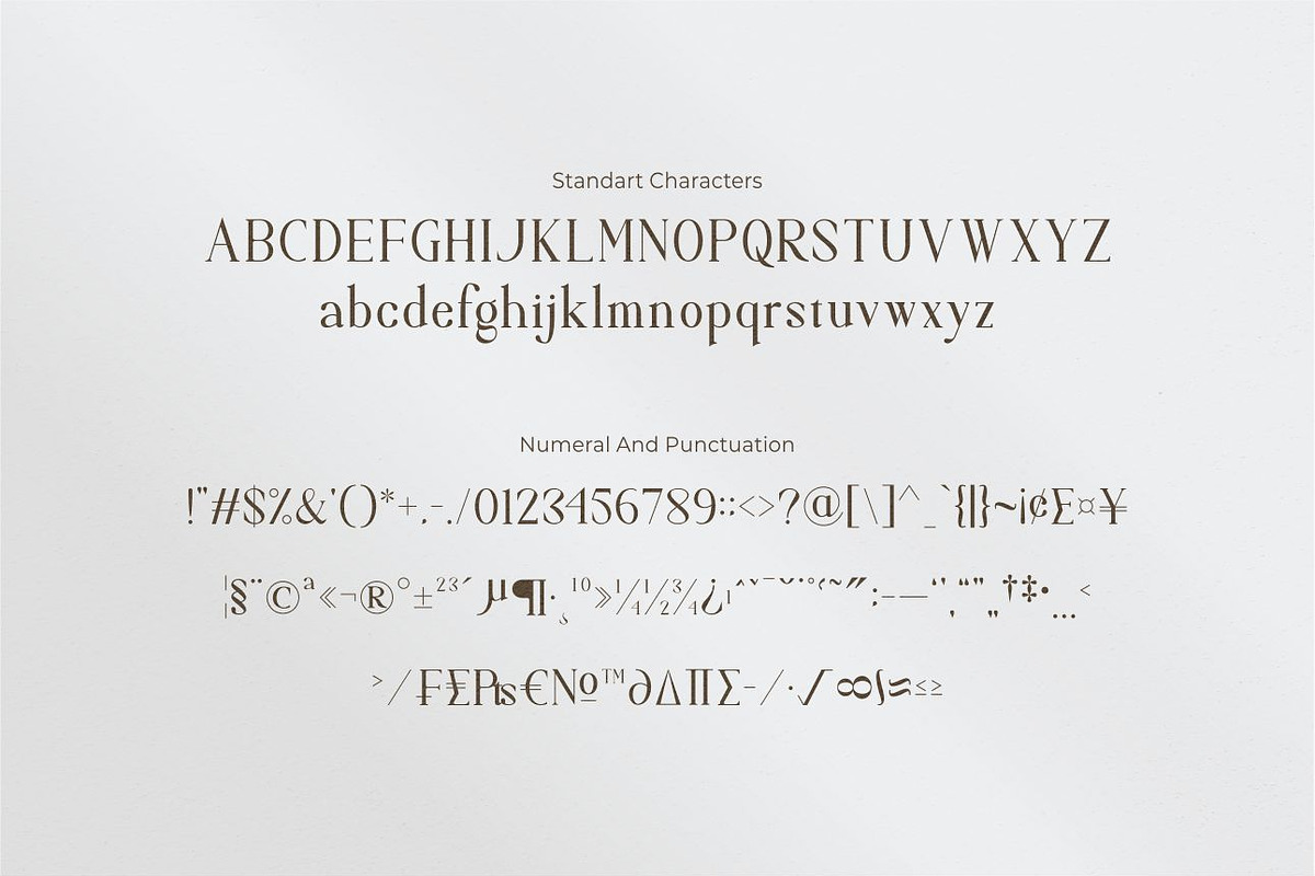 Carina classy elegant font, a Serif Font by suhadidesign (Photo 11 of 14)