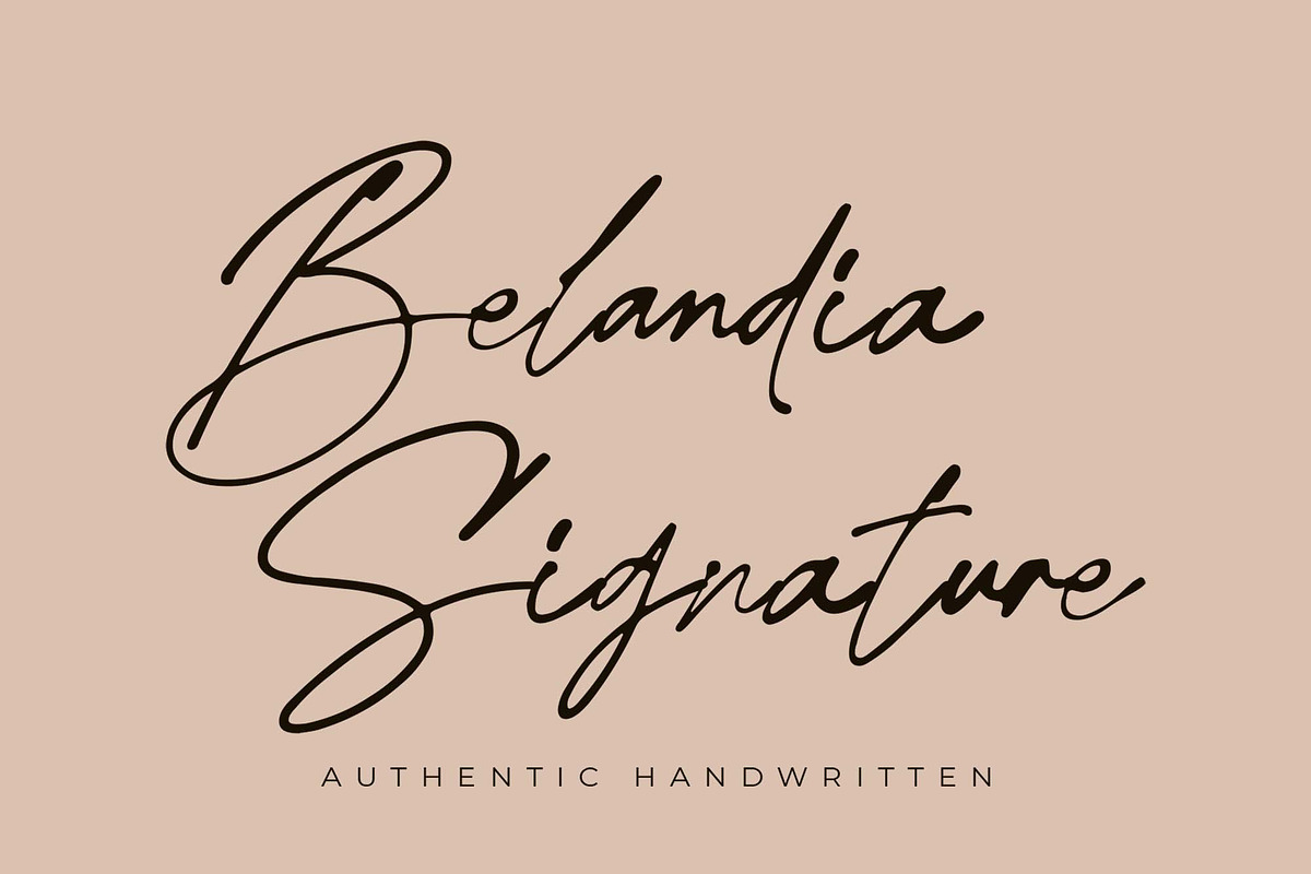 Belandia Signature, a Script Font by MJB Letters (Photo 1 of 11)