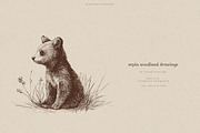 Sepia Woodland Drawings, an Animal Illustration by PeDe Designs (Thumbnail 6 of 15)