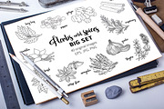 40 spices and herbs, a Food Illustration by Primula`s shop (Thumbnail 1 of 2)