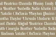 Brayena Elegant Serif Font, a Serif Font by RantautypeStudio (Thumbnail 8 of 19)