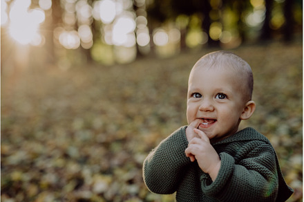 Little boy sitting in dry leaves in, a Person Photo by HalfPoint