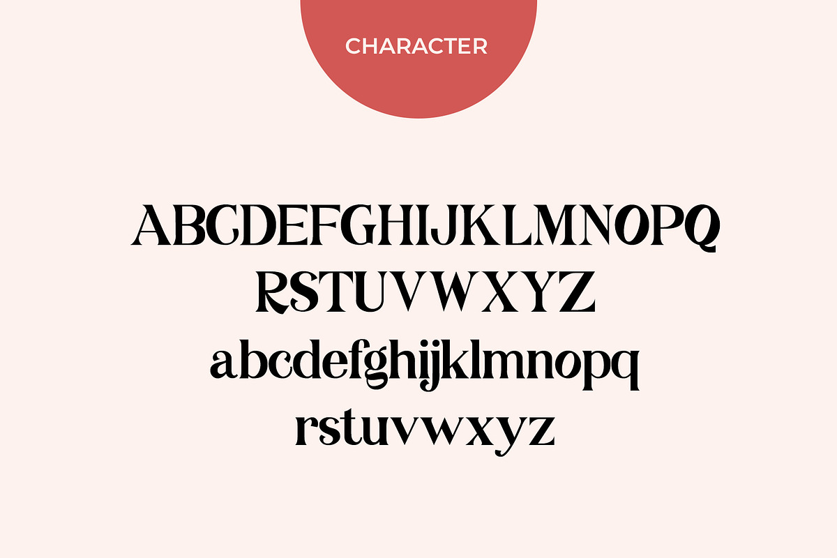 Swampcity Typeface Font preview 6