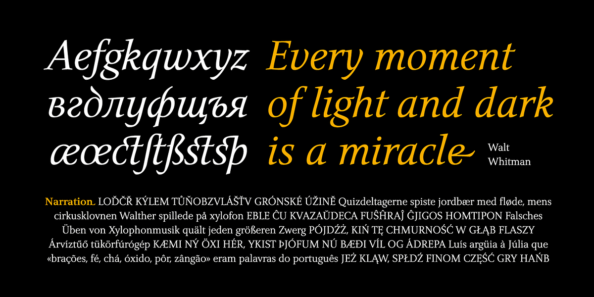 Narration, a Serif Font by PESIC (Photo 6 of 8)
