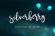 Typographer's Dream Box + 200 Logos, a Script Font by Mats-Peter Forss (Thumbnail 97 of 130)