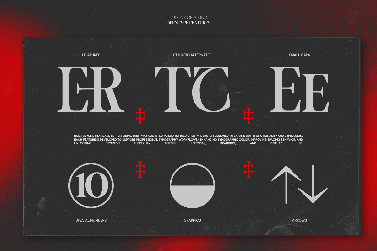 TBJ One Of A Kind Serif Font Family, a Serif Font by Taboja Studio (Photo 10 of 21)