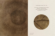 Sylva Textured Botanical Backgrounds, a Background Graphic by alonahaidash (Thumbnail 4 of 15)