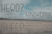 KINOKO, a Script Font by One Fonty Day (Thumbnail 3 of 5)