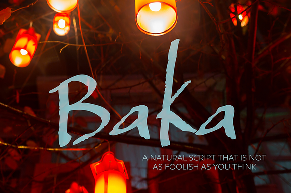 Baka Script Typeface preview 7