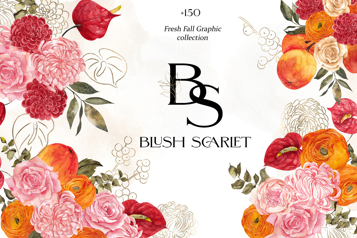 Blush Scarlet. Fall Graphic., an Object Illustration by ma_i_vi (Photo 1 of 11)