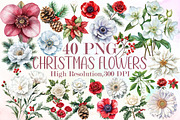 Watercolor Christmas Flowers Clipart, an Illustration by Sublimation Artist (Thumbnail 1 of 6)