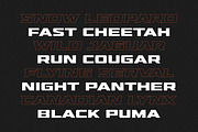 Hunterra - Heavy Expanded, a Sans Serif Font by Variatype (Thumbnail 8 of 8)