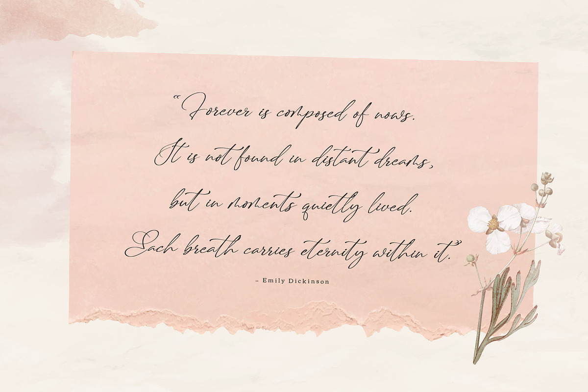 Bellanty - Elegant Script Font, a Script Font by Graha Type (Photo 2 of 8)