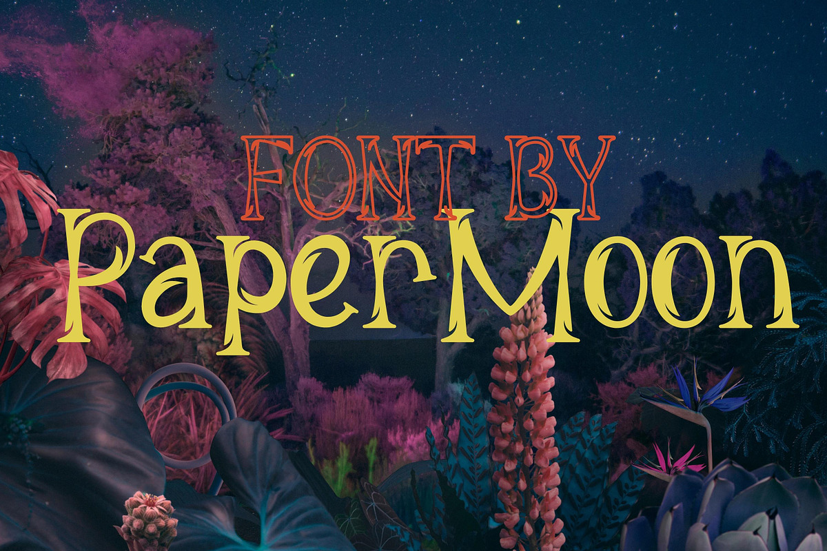 Auralian - Playful Display Font, a Serif Font by PaperMoon (Photo 4 of 6)