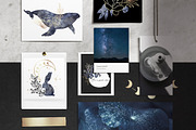 Deep Blue Magic, an Animal Illustration by Kate Art (Thumbnail 15 of 15)
